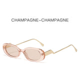 Load image into Gallery viewer, Fashion sunglasses retro trend oval sunglasses street style sunglasses